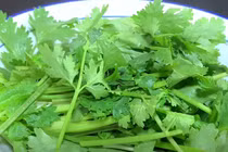 Loại rau “nhỏ mà có võ”, kháng sinh tự nhiên, giúp giải độc