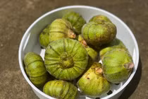 Loại quả dại ít người biết ăn lại tốt cho bà bầu