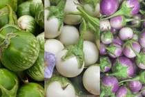 Loại quả vạn người mê, giàu vitamin, đốt mỡ, muối giòn tan