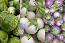 Loại quả vạn người mê, giàu vitamin, đốt mỡ, muối giòn tan