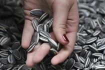 3 loại hạt “ngậm” hóa chất cực độc, bày bán đầy chợ