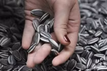 3 loại hạt “ngậm” hóa chất cực độc, bày bán đầy chợ