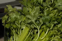 Các loại rau quen thuộc có thể là “ổ chứa” giun sán