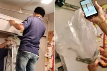 Sợ hãi khi phát hiện 7 con rắn trong chiếc điều hòa