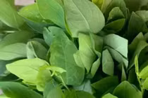 Loại rau rẻ bèo nhưng lượng vitamin C cao hơn cam, chanh