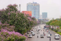 Phố phường Hà Nội nhuộm tím bằng lăng