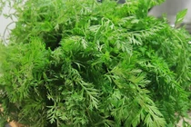 Loại rau có lượng canxi cao gấp 3 lần sữa, gấp 7 lần trứng