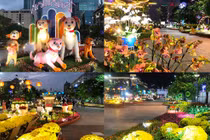 Cận cảnh đường hoa Nguyễn Huệ đẹp lung linh trước giờ khai mạc