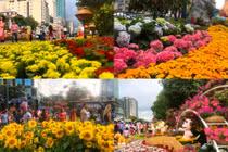 Mùng 3 Tết: Đường hoa Nguyễn Huệ vẫn rực rỡ khoe sắc