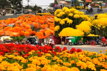 Đường phố TP.HCM ngập sắc hoa trưa 30 Tết, dân buôn méo mặt