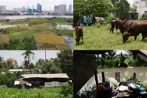 Tận tường cuộc sống người dân bán đảo Thanh Đa trong 26 năm “bị treo” 