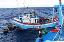 Câu cá ngừ, thuyền viên 23 tuổi bị cá “đớp” đứt bàn tay