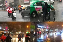 Ảnh: Mưa trái mùa lớn ở TPHCM, nhà vườn trồng mai Tết phát hoảng