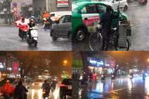 Ảnh: Mưa trái mùa lớn ở TPHCM, nhà vườn trồng mai Tết phát hoảng