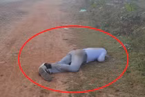 Tài xế taxi bỏ người chết giữa đường vì nạn nhân hết tiền?