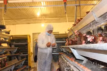 Vụ Ba Huân - VinaCapital: Thủ tướng Chính phủ cũng khó can thiệp?