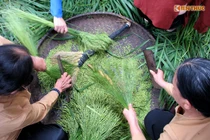 Độc đáo lễ hội cốm truyền thống giữa lòng Hà Nội