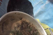 Chồng nấu canh, vợ nhìn kết quả chỉ muốn nôn thốc nôn tháo