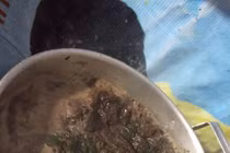 Chồng nấu canh, vợ nhìn kết quả chỉ muốn nôn thốc nôn tháo