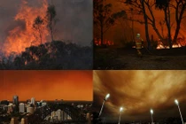 Kinh hoàng biển lửa cháy rừng thiêu đốt Australia 