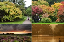 Mùa thu chạm ngõ nước Anh