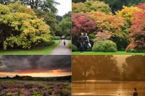 Mùa thu chạm ngõ nước Anh