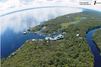 Những khách sạn trên cây "độc nhất vô nhị"