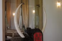 Hé mở bí ẩn về cặp ngà voi ở Dinh Thống Nhất