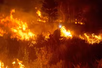 Hình ảnh cháy rừng tàn khốc ở Mỹ