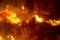 Hình ảnh cháy rừng tàn khốc ở Mỹ