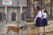 Đột nhập vườn thú ở Triều Tiên