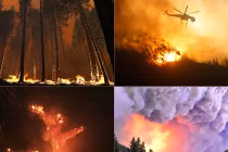 Cháy rừng dữ dội ở 11 bang miền Tây Mỹ