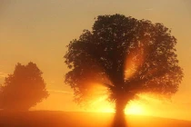 Ngắm bình minh mùa thu nước Anh 