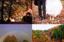 Mùa thu nước Anh qua lăng kính nhiếp ảnh gia nghiệp dư