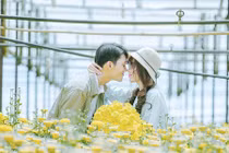 "Đuổi theo nắng tháng tư" cùng vườn hoa cúc Đà Lạt tuyệt đẹp