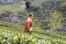 Những điểm tham quan miễn phí tuyệt đẹp ở Đà Lạt