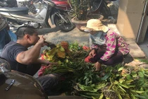 Chợ phiên lan rừng bán theo cân giữa Đà Nẵng