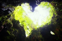 Hang động hình trái tim trong rừng già hớp hồn dân phượt