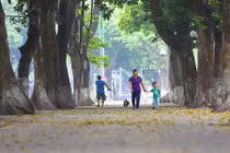 Ngơ ngẩn với mùa lá vàng tuyệt đẹp ở Hà Nội