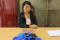 Bắt quả tang "sơn nữ" gùi 2 bánh heroin, 8.000 viên ma túy