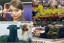 Những hình ảnh gây bão mạng Việt tuần trước Tết Nguyên Đán