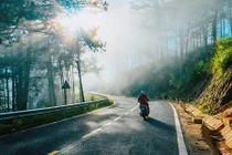 Bình yên đồi chè Cầu Đất