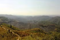 Bắt giam GĐ và cán bộ để mất 2.000 ha rừng ở Đắk Nông