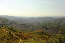 Bắt giam GĐ và cán bộ để mất 2.000 ha rừng ở Đắk Nông