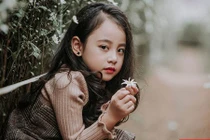 Chipu phiên bản nhí mơ màng giữa rừng cúc họa mi