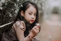 Chipu phiên bản nhí mơ màng giữa rừng cúc họa mi