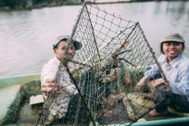 Bộ ảnh cưới nông dân chẳng giống ai của cặp đôi Cà Mau