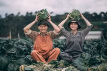 Đôi trẻ hóa thành nông dân trồng rau trong bộ ảnh cưới