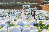 Những địa điểm du lịch gây sốt nhờ cánh đồng hoa