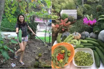 Mê mẩn vườn rau đón Tết 150m2 ở Malaysia của bà mẹ Việt